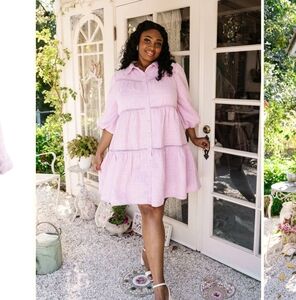 NWOT Ivy City Co JoJo Dress